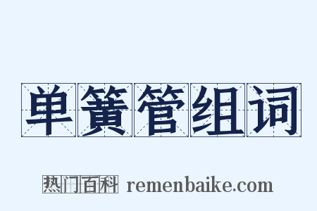 单簧管组词是什么意思的图片